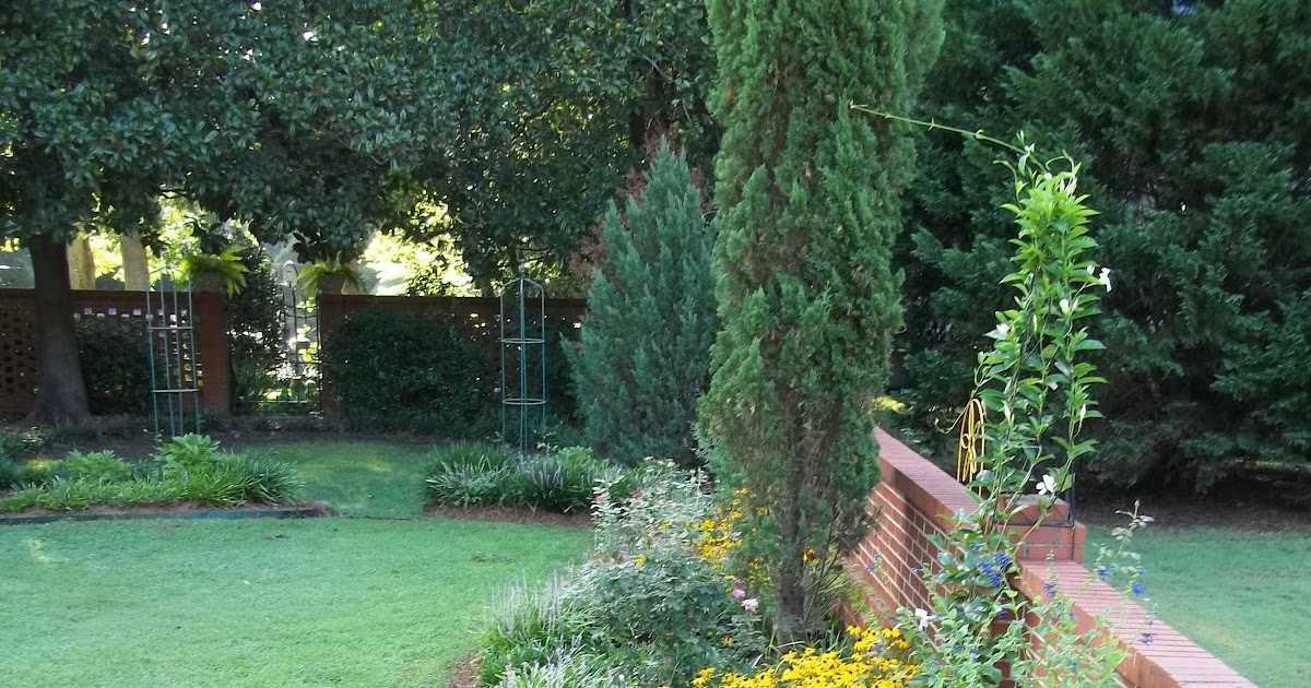 Pinewood Cottage Garden: Sunny Border Early August 2012